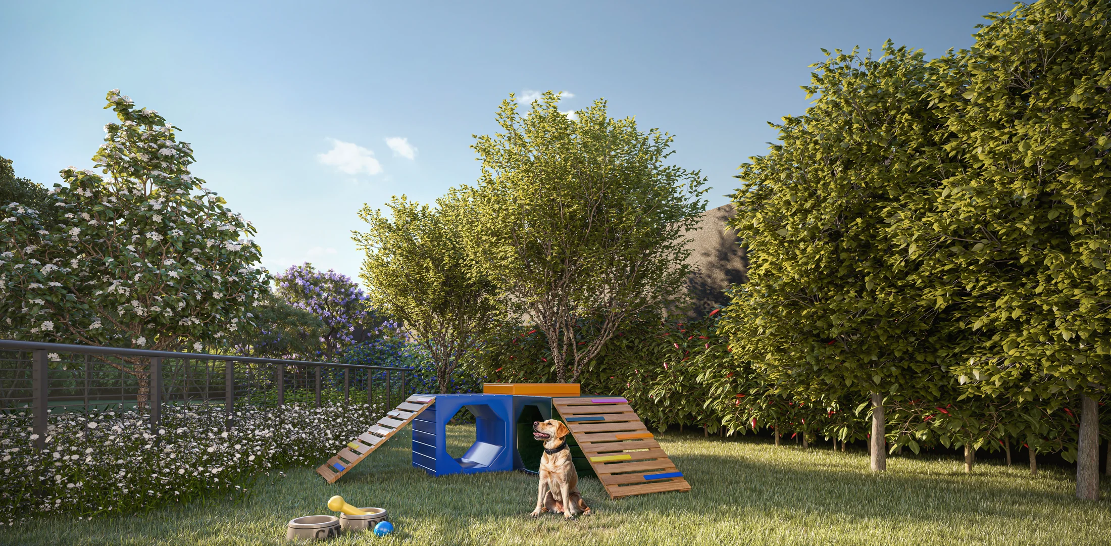 Pet place (Perspectiva artística)