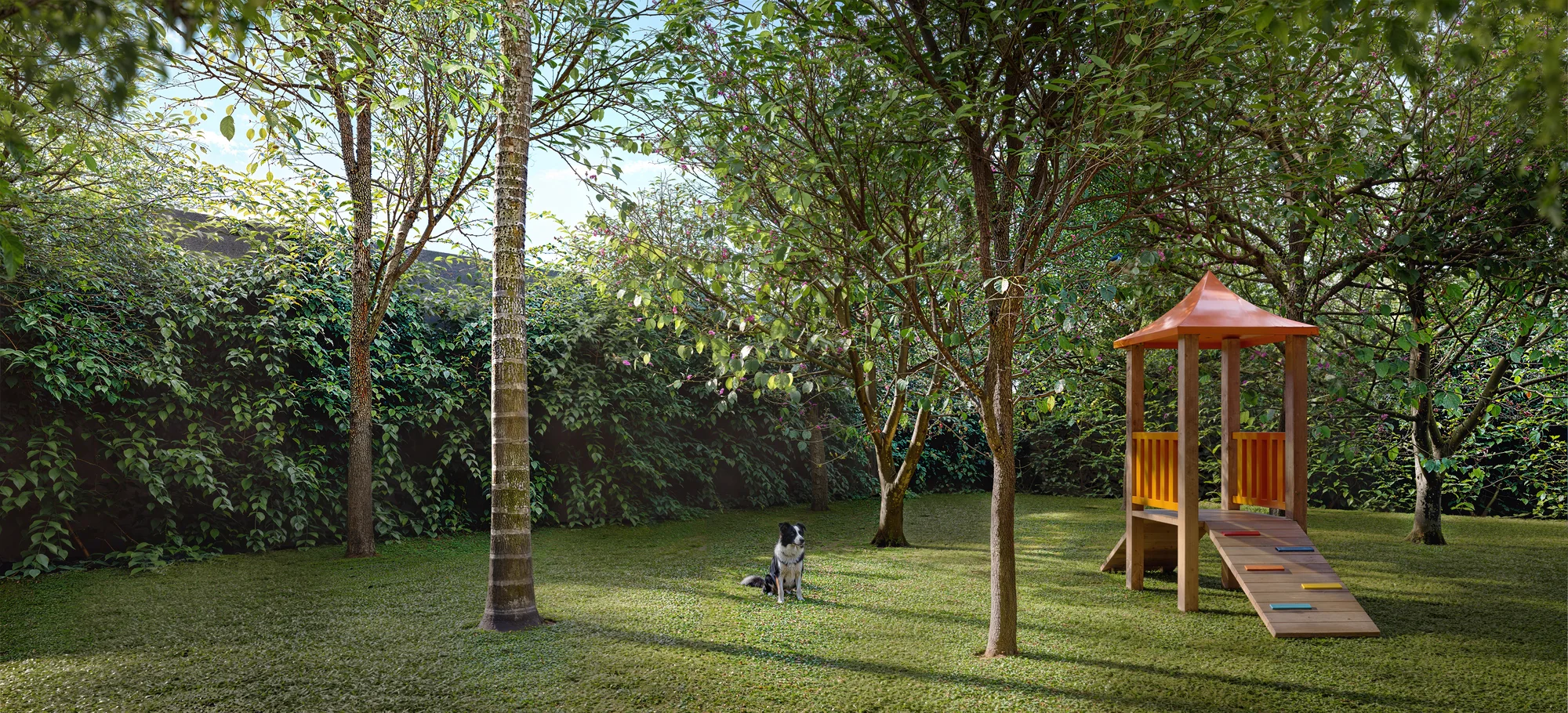 Pet place (Perspectiva artística)