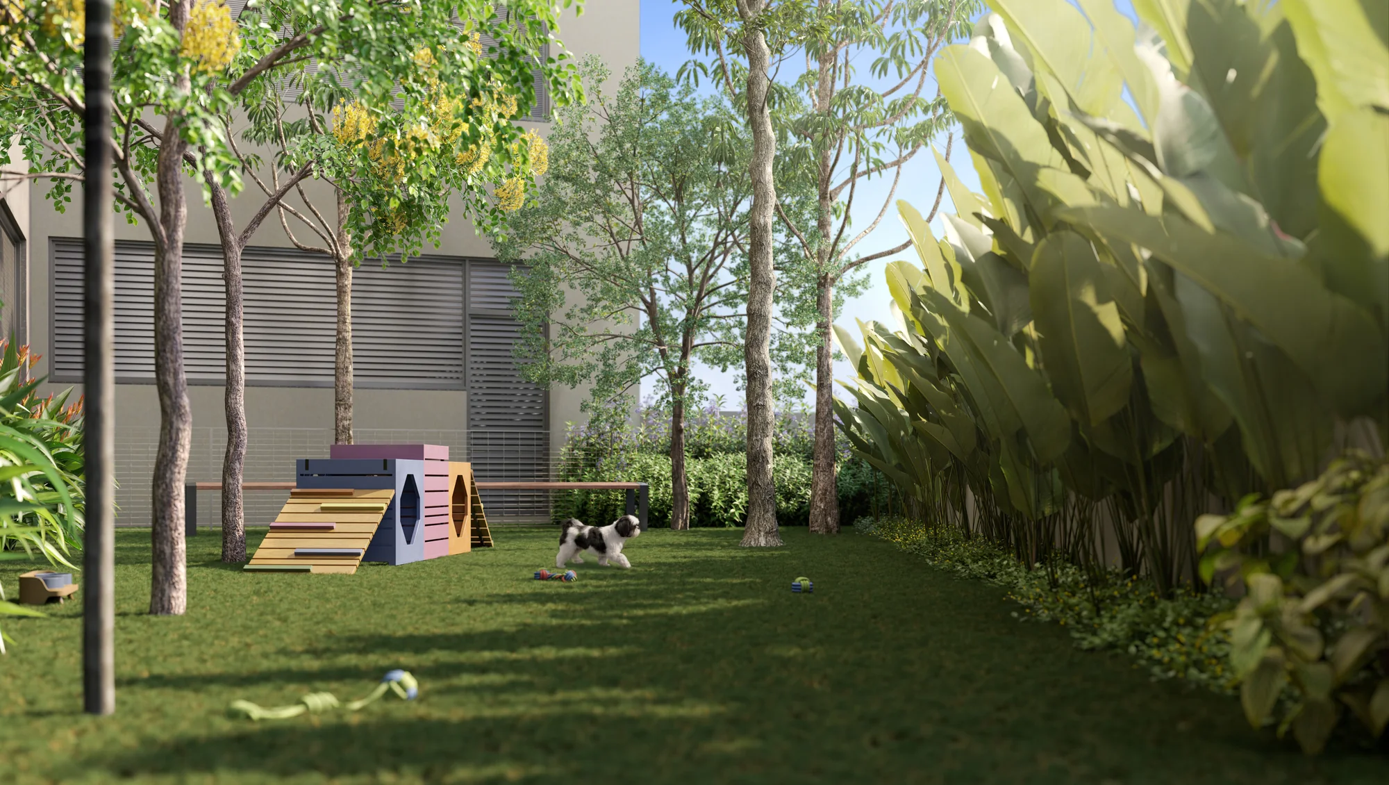 Pet place (Perspectiva artística)