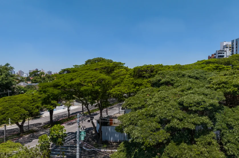 Vista do 4º andar da Av. Aicas (Foto da vista)