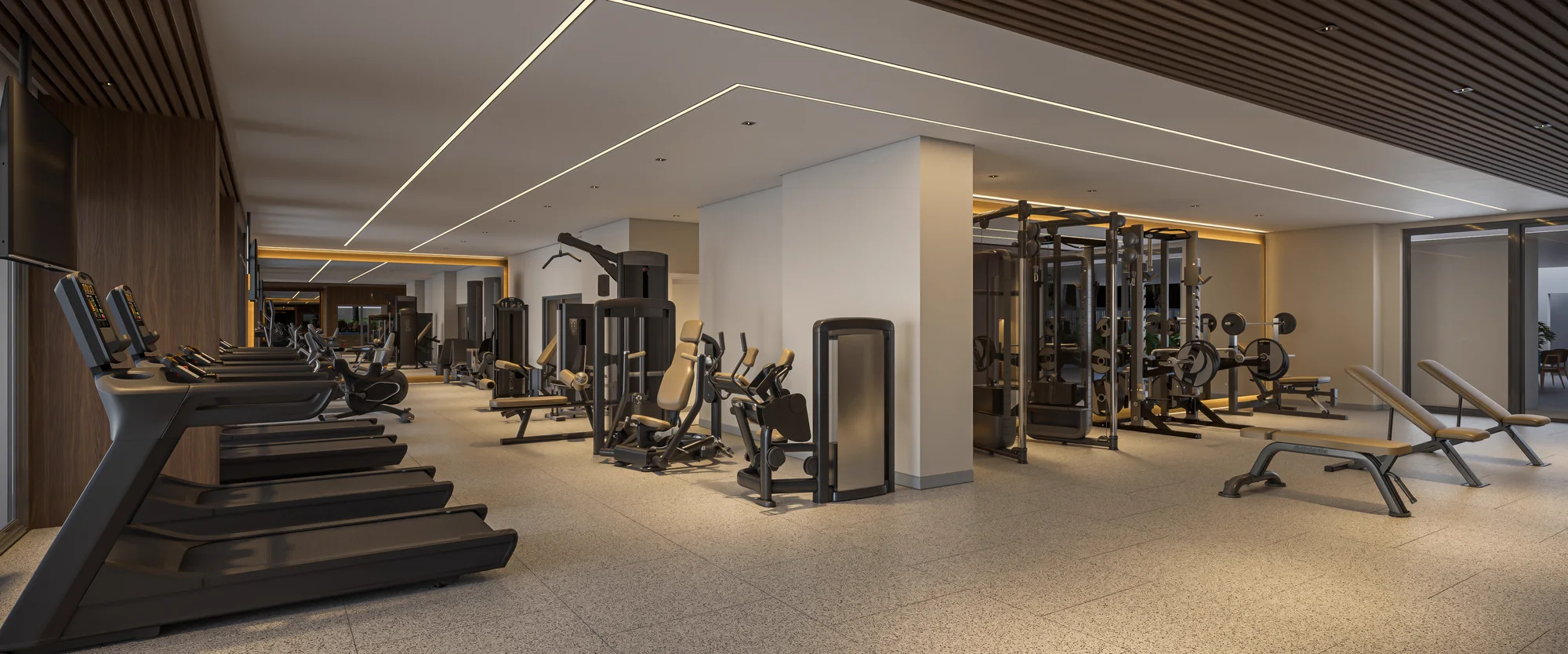 Fitness (Perspectiva artística)