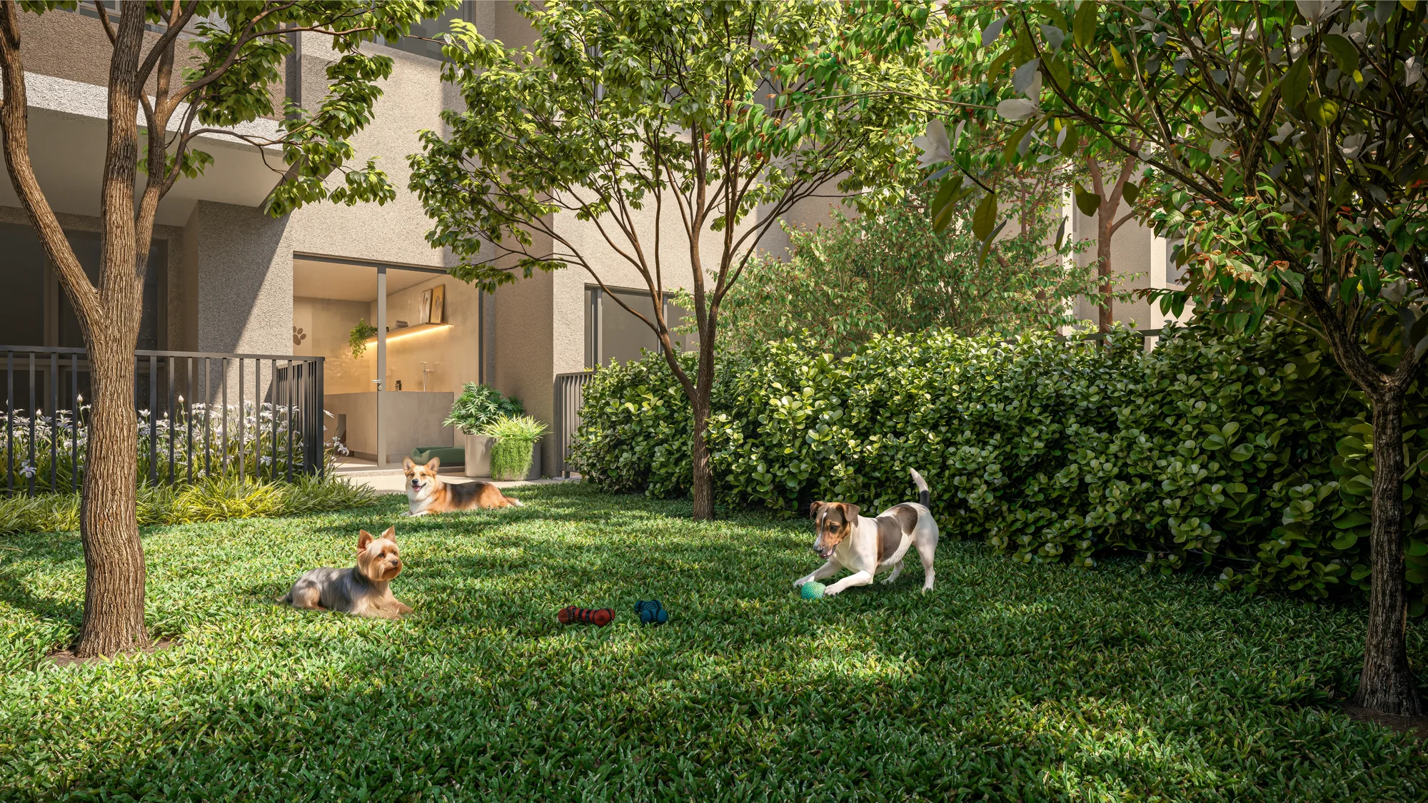 Pet place (Perspectiva artística)